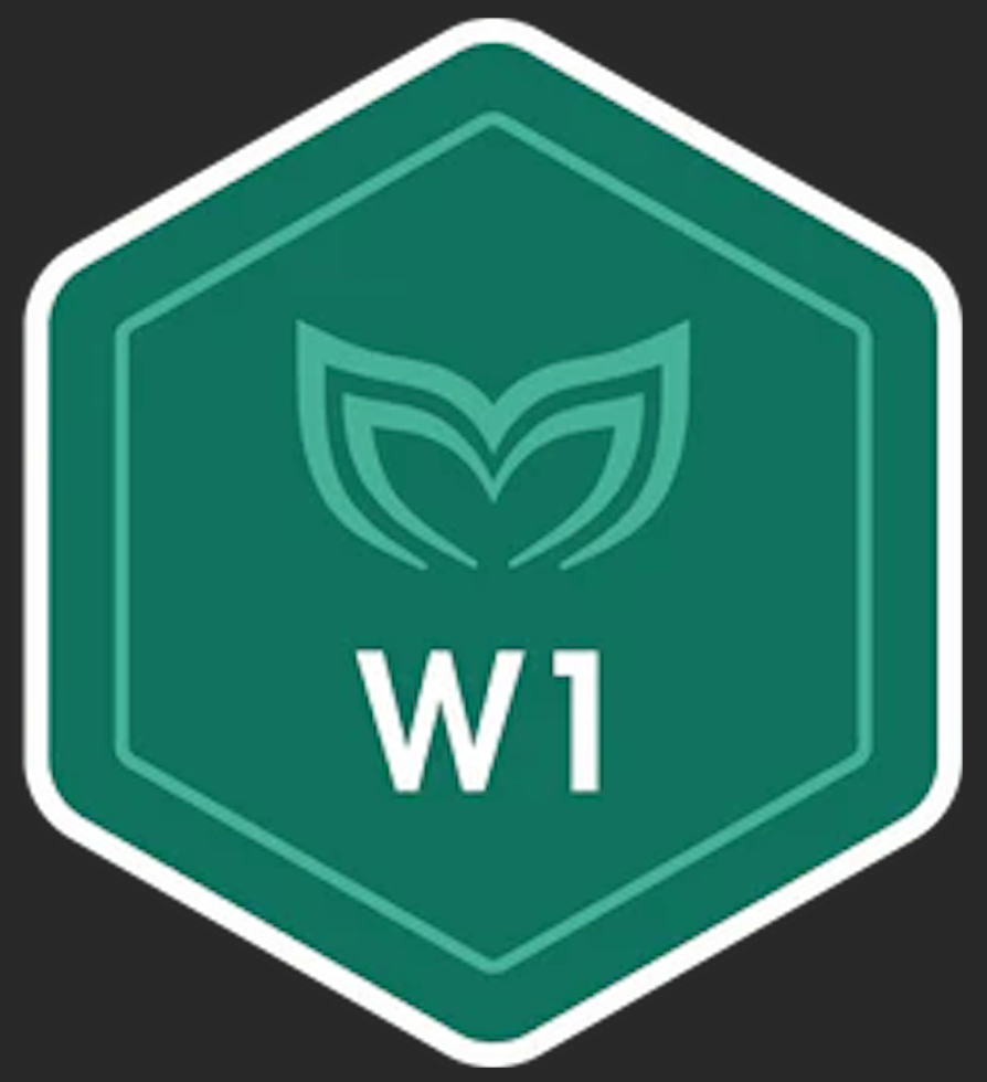 Molchanovs Certification (Wave 1)